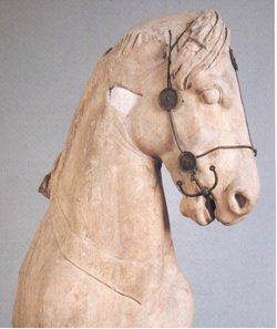 148 Testa di un cavallo della quadriga, British Museum, Londra