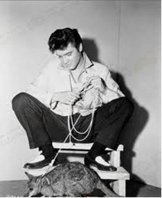 Elvis Presley