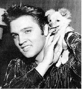 10 Elvis Presley b