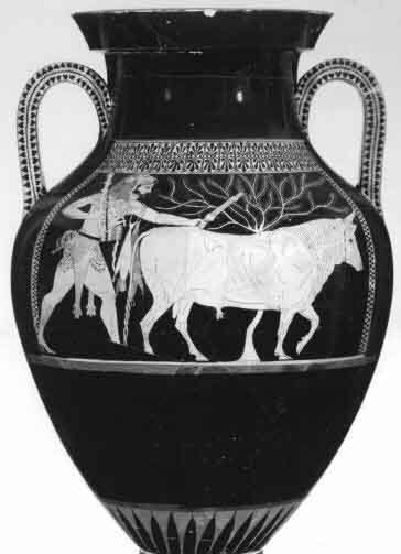 25 Eracle e il Toro, vaso greco