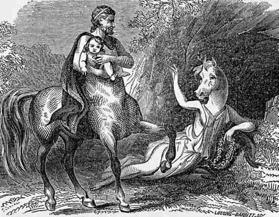 ocyrrhoe trasf Chir Esc N. Brooks 1849