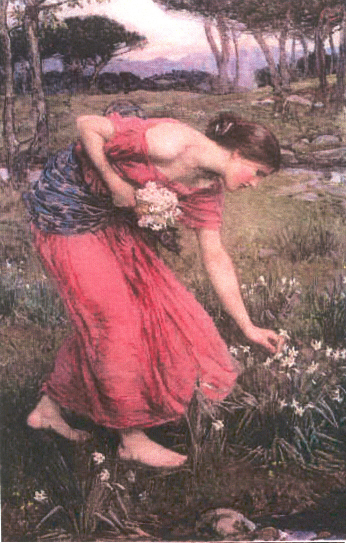 Narciso ninfa Fiori Waterh 1912