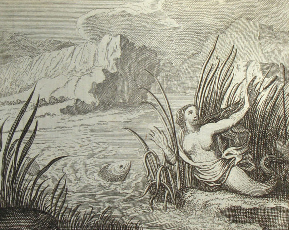 Dércete trasformata in pesce, J. U. Krauss, 1690 Dercete J U Krauss 1690 v 45