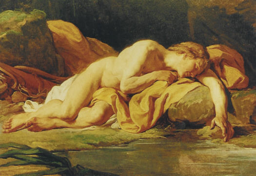 Narciso alla fonte, N. B. Lepicié, 1771 Narciso N B Lepicié 1771 v 438